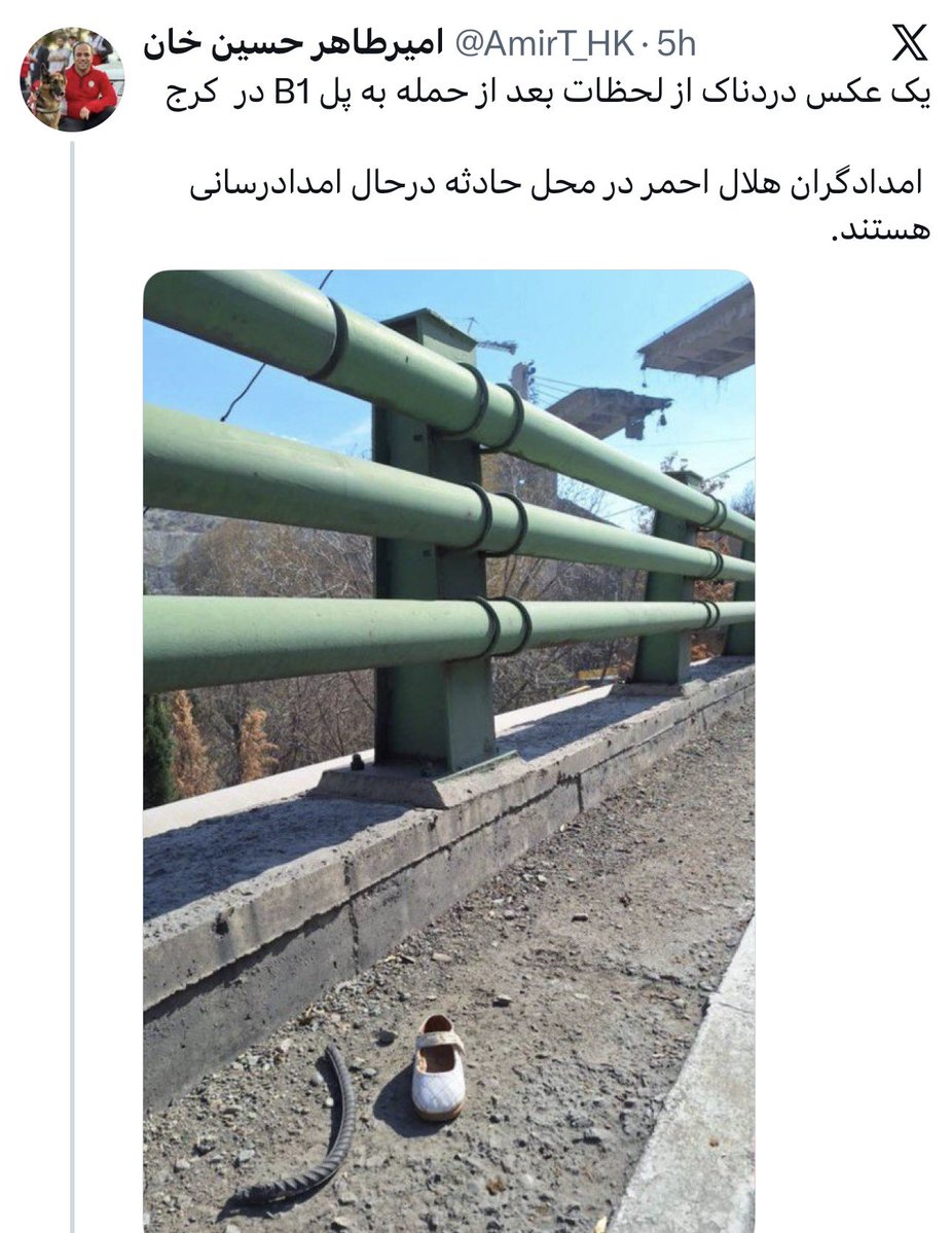 میمون مست tweet media