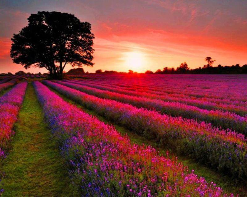 antonella4468's tweet image. Buona serata cari amici di X🙋‍♀️🌕🌟
#Pace🕊️