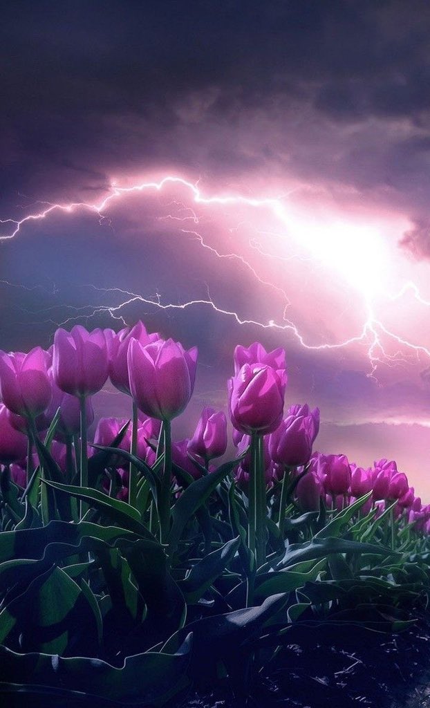 Satisfying content✨ tweet media