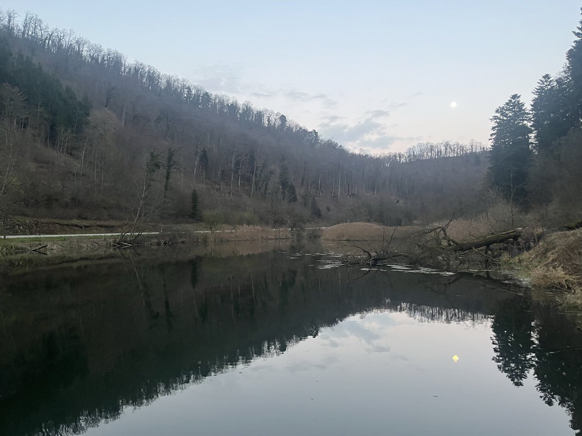 EKT VISFLY tweet media