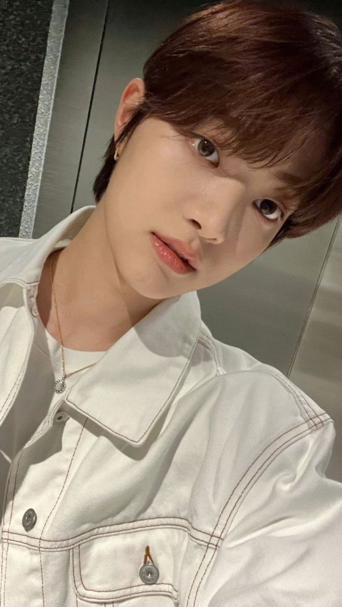 ˚ʚ anise ɞ˚ 𝖔𝖓 𝖋𝖎𝖗𝖊 tweet media