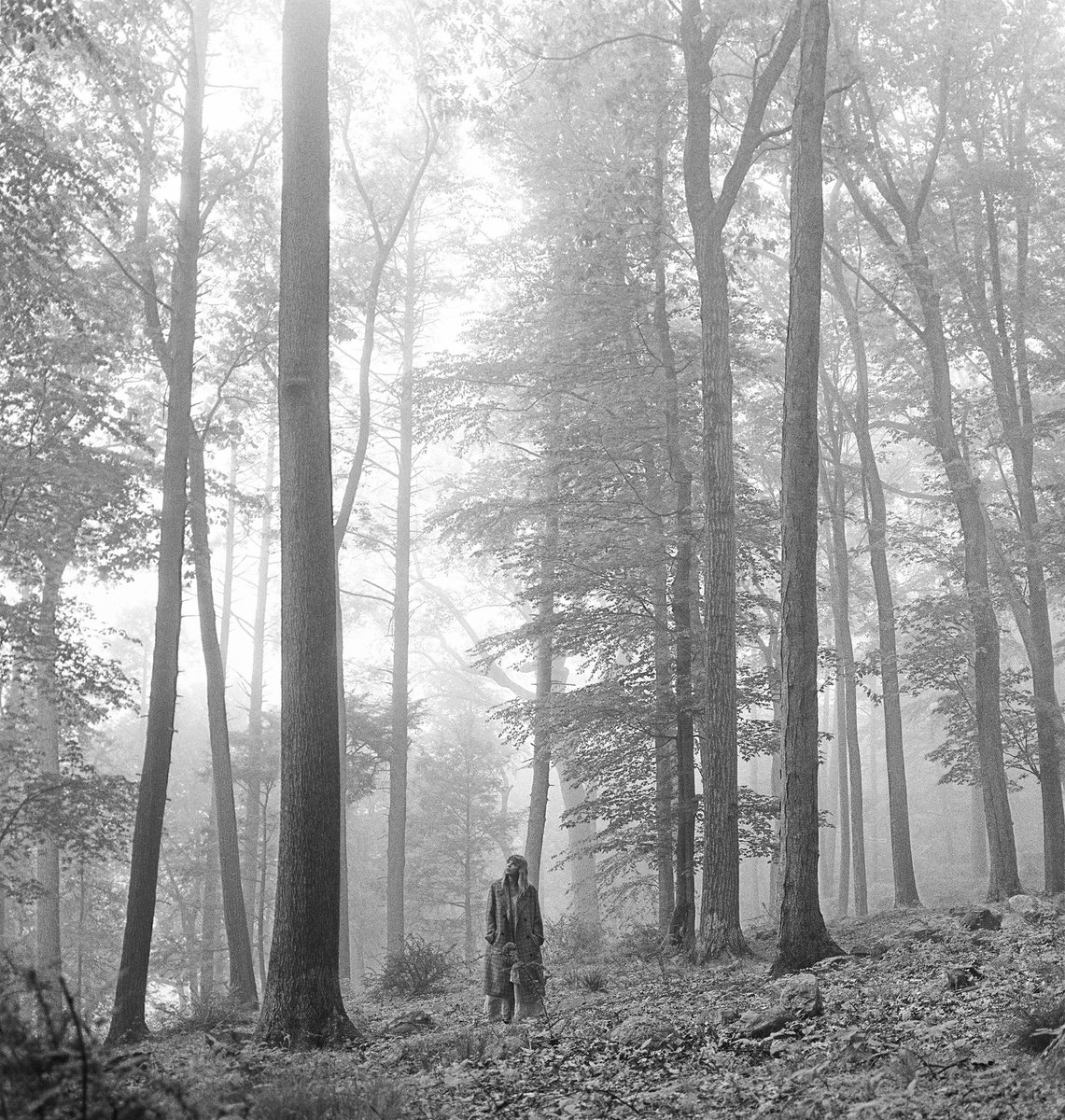 i was a swiftie⸆⸉ tweet media