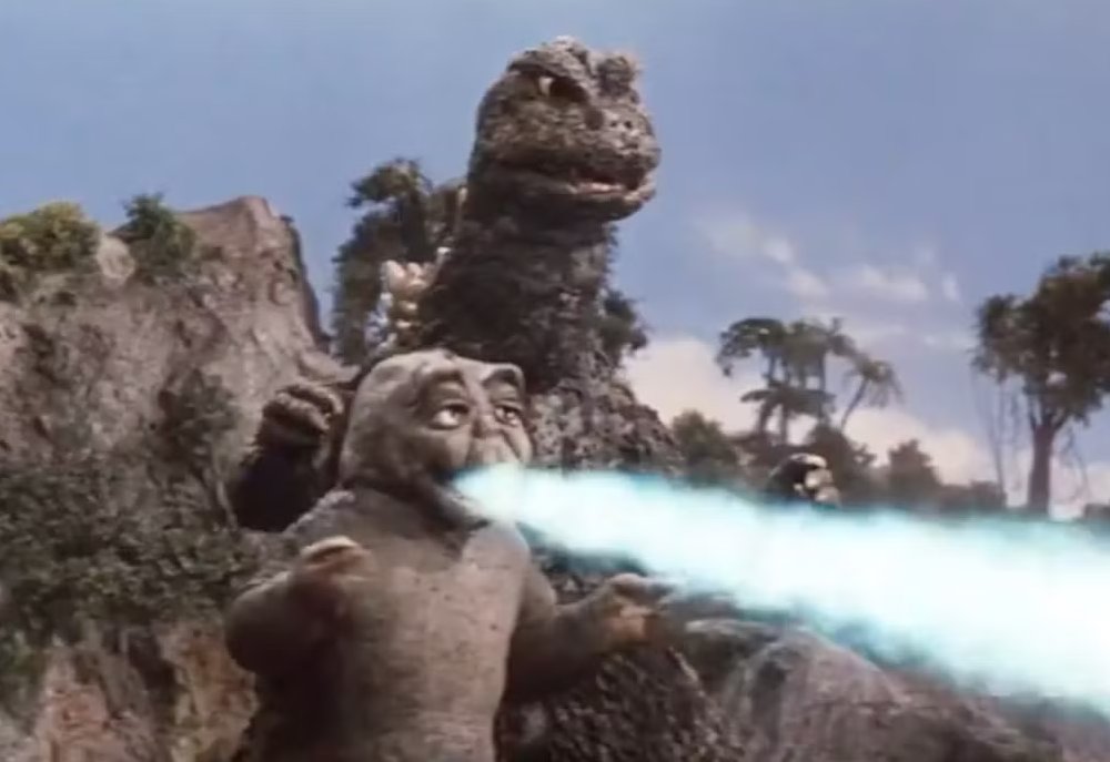 SpeaksfortheTrees tweet media