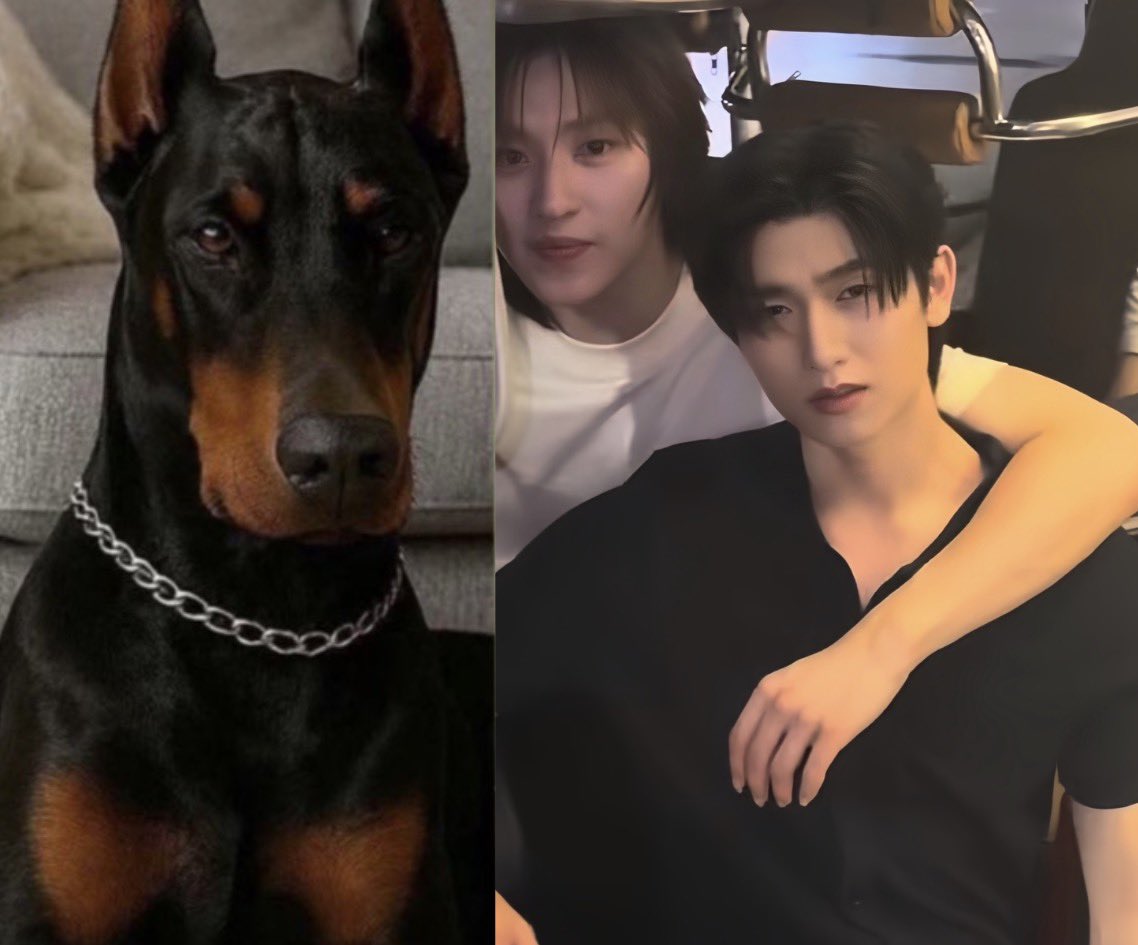 J’nimmm🍷 อันวาร์บลู ❤️‍🔥 tweet media