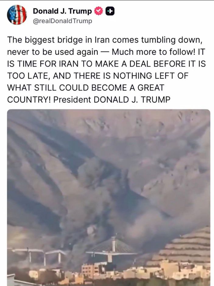 Nate Bear tweet media