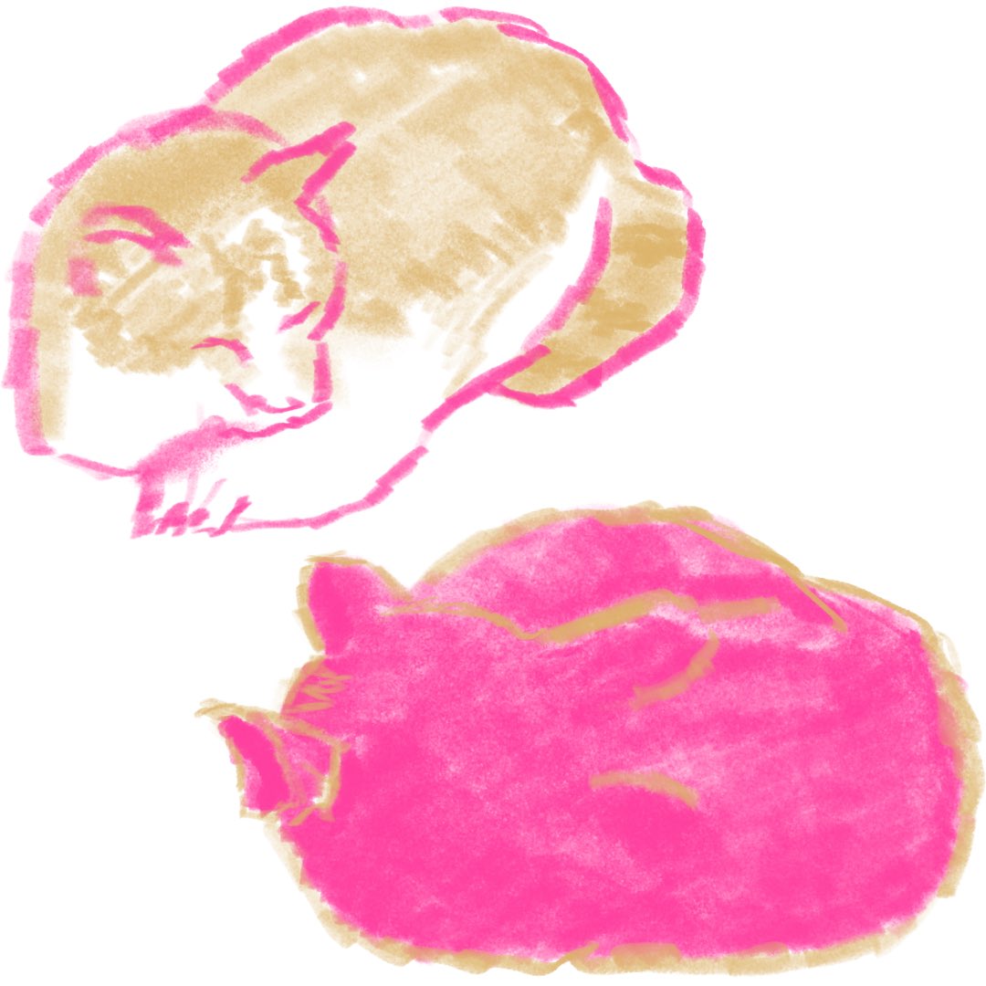 👁‍🗨〰️👁‍🗨 tweet media