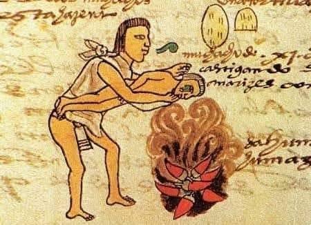El famoso castigo de los chiles asados era un correctivo que hoy nos podría parecer extremo, pero que para los niños #mexicas incorregibles era algo muy común a partir de los 11 años según el códice Mendoza. Consiste en hacer aspirar el humo de chiles asados y ya te imaginarás...