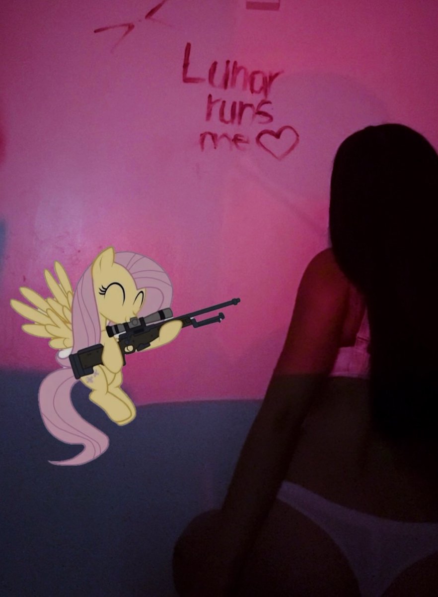 maria ⋆𐙚 ̊. i ver!fy tweet media