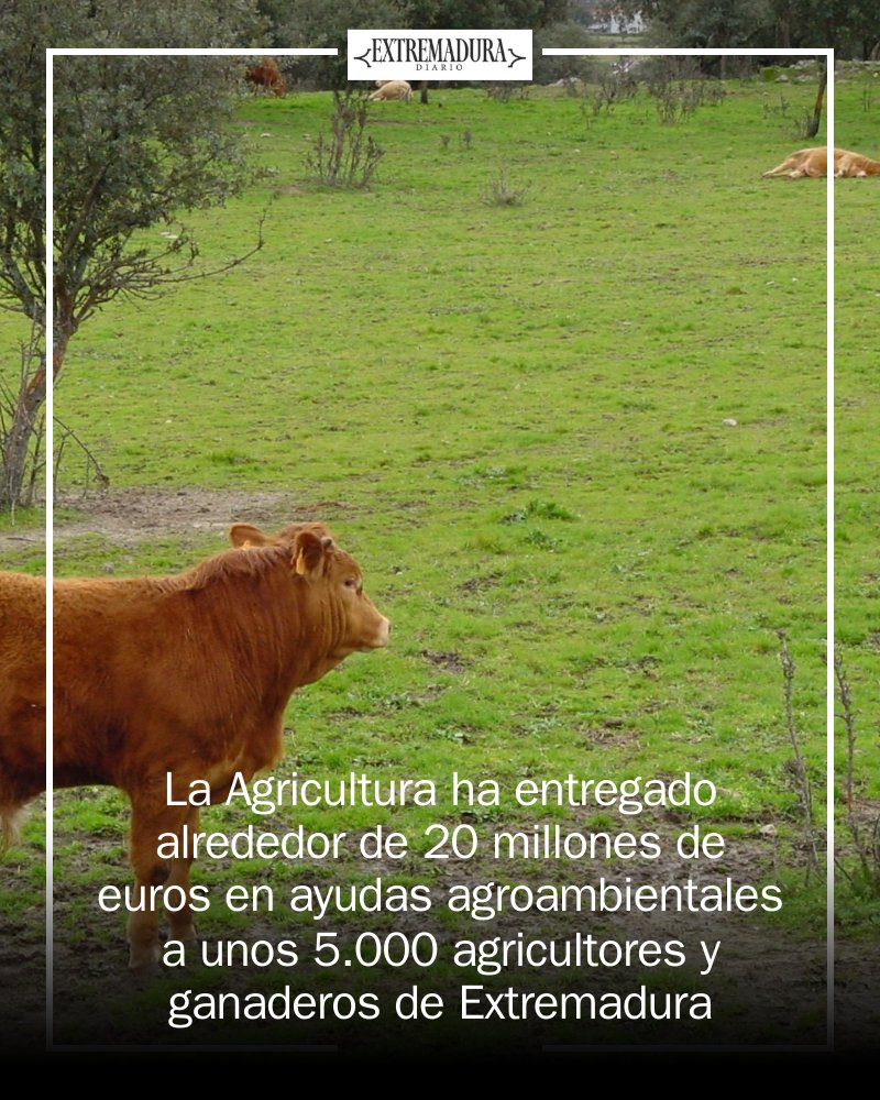 Extremadura Diario tweet media