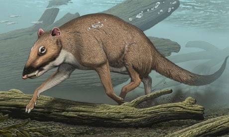 lemonemy tweet media