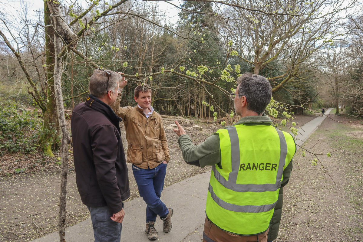 Mike Martin MP 🔸 tweet media