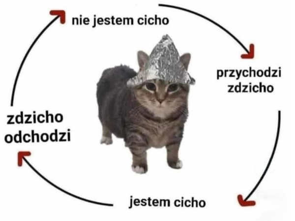Mikołaj Kędzierski tweet media