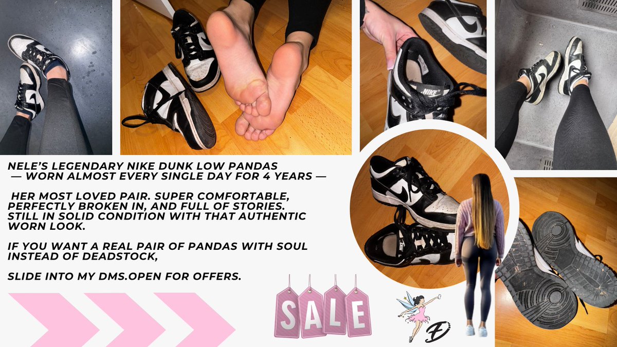 fairy-diary tweet media