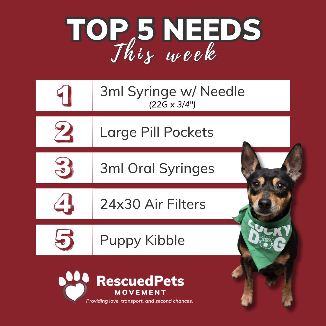 RescuedPetsMovement tweet media