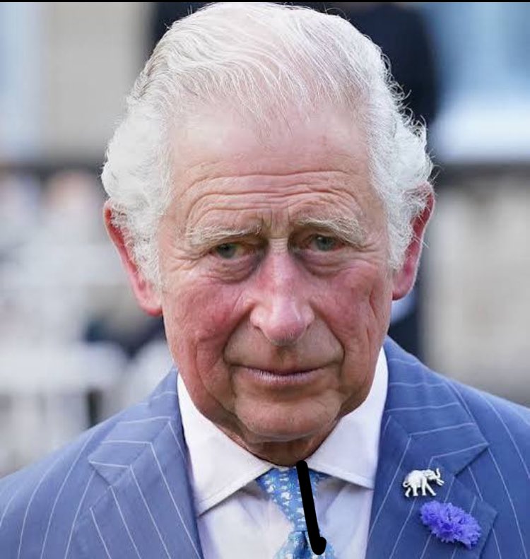 CRYPTO WATERBOY 500K 💰 tweet media