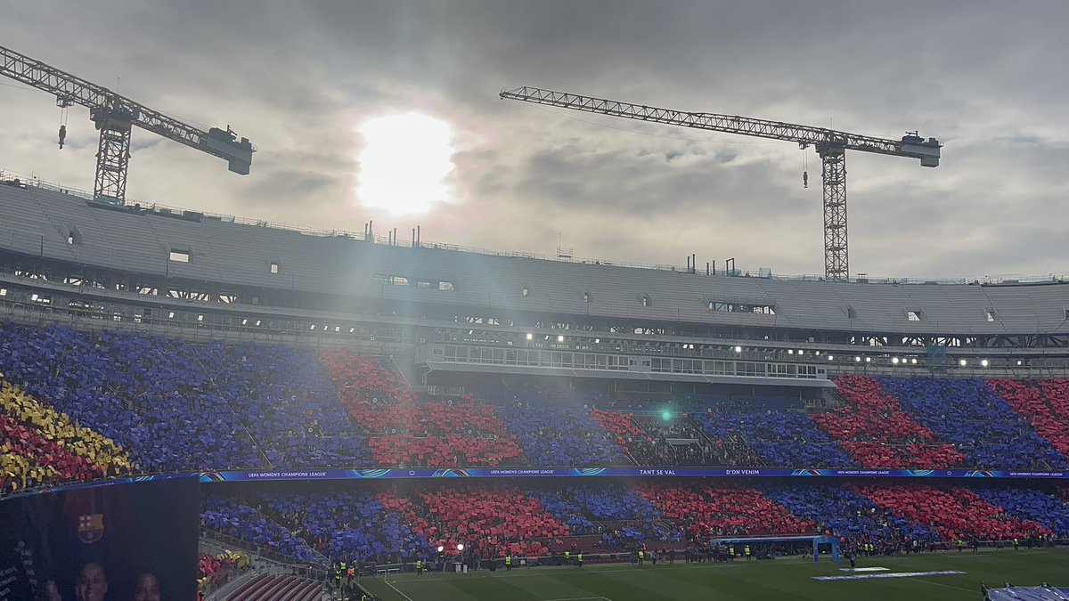 la teva catalana fav ོ☼ tweet media