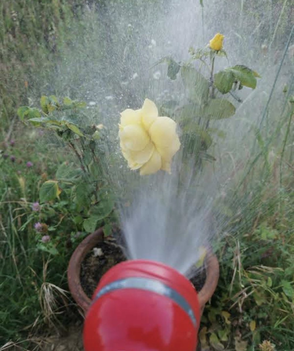 noname☁️ tweet media