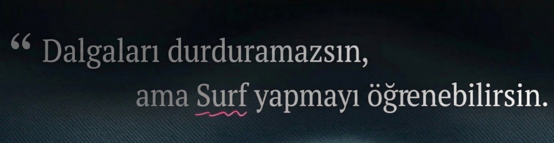 Surf Türkiye tweet media