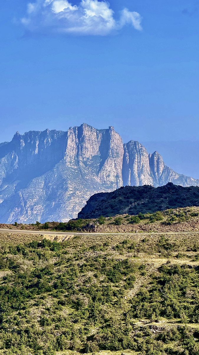 MANSOUR ALGHAMDI tweet media