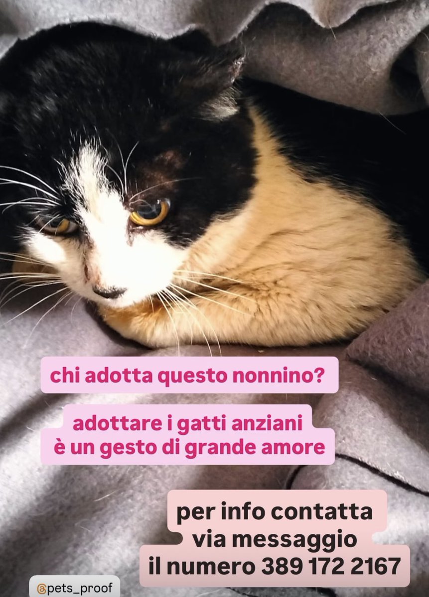 Matilde D'Errico tweet media