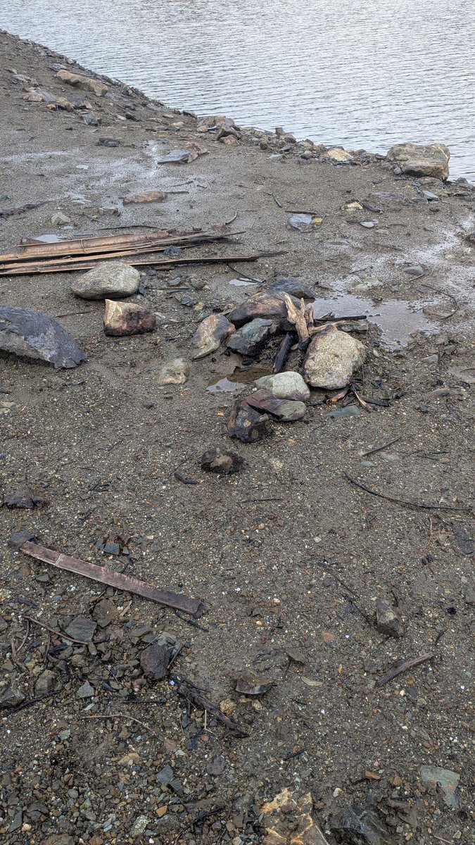 Kn_Noddy's tweet photo. 近所のダム湖にこんな看板が立っていた
作ったのか盗ってきたのか不明だが完成度高い
しかもわりとしっかり打ち込んであるし
そもそも勝手に看板立てちゃいかんだら?
焚き火の跡も何箇所かあり
よく山に燃え移らんかったなと
なんかマナーというか常識というかない人が多くなった気が、、、 https://t.co/AtzkTs3V2m