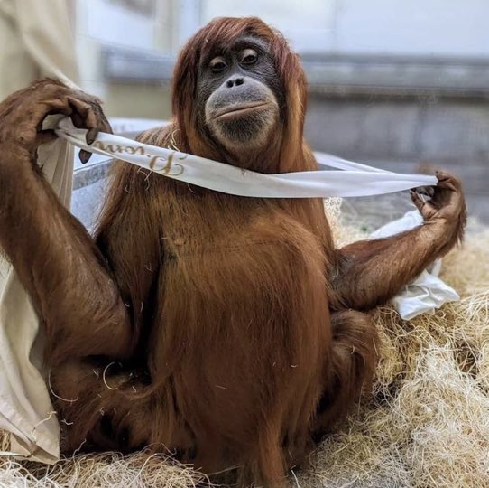 cayyyter tweet media