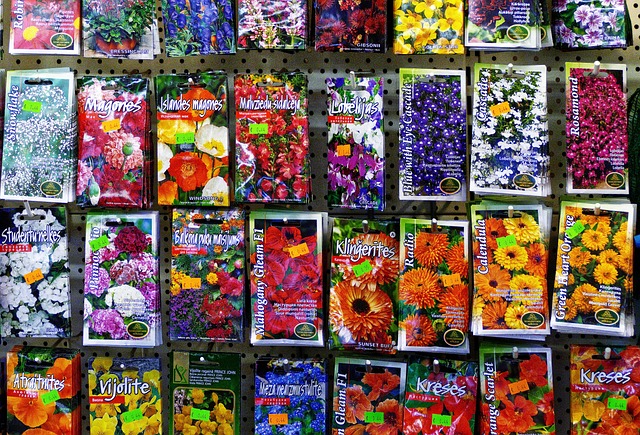 Jimmy King tweet media