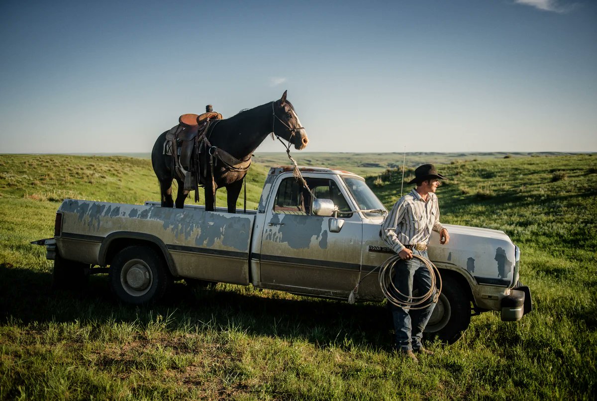 danieloso tweet media