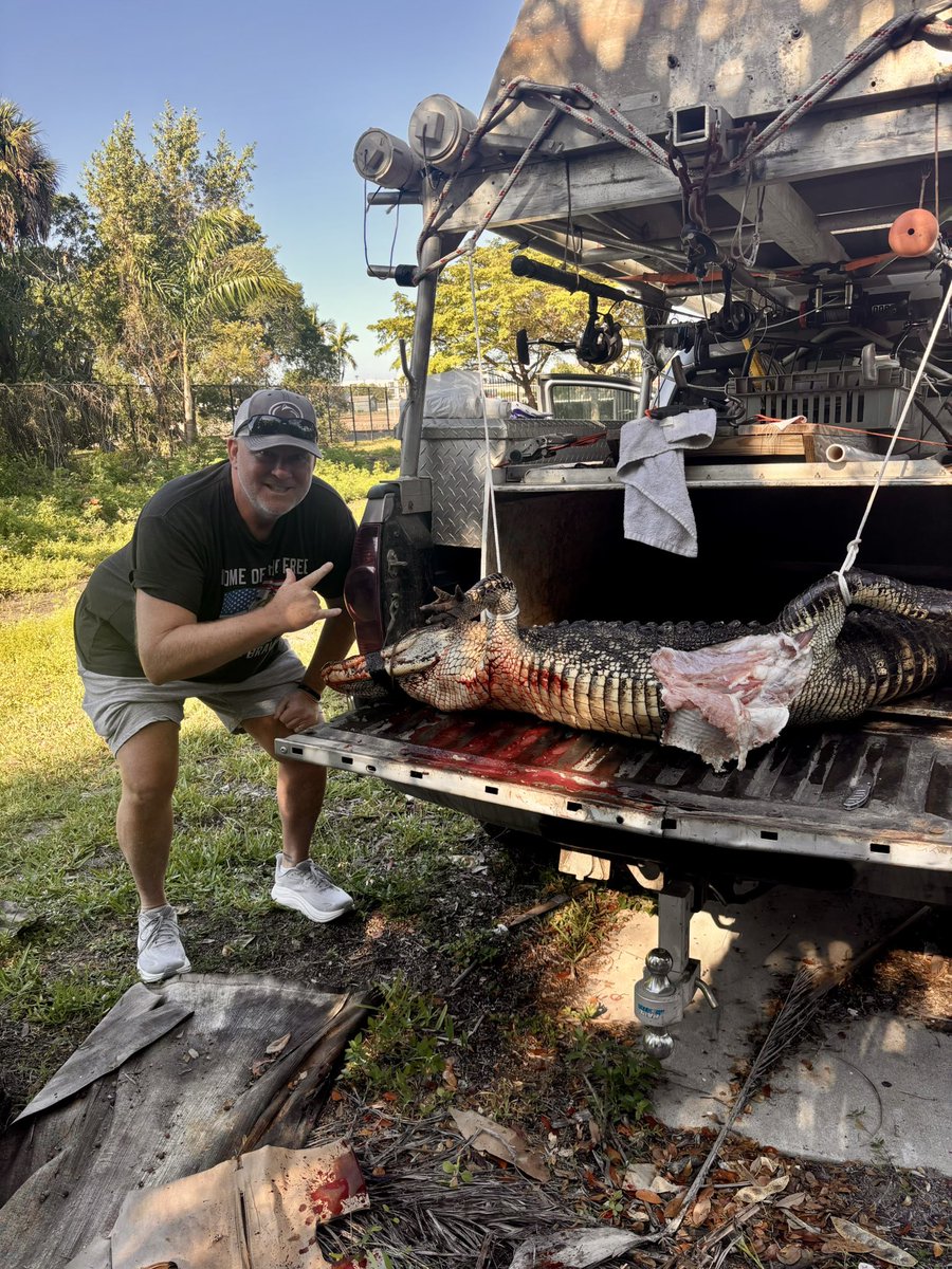 Rich Schell tweet media