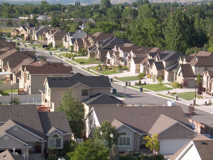 Pregonero tweet media