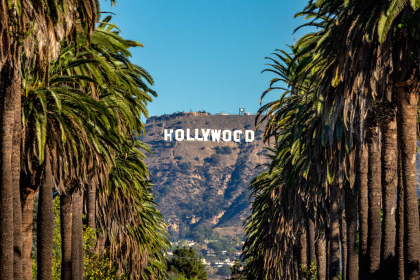 MeContaJa's tweet photo. Hollywood? Fica para a próxima!

"No Te Olvides", filme que seria estrelado pela atriz ex-hollywoodiana Maite Perroni, foi ENGAVETADO.

O musical, que teria suas filmagens realizadas em setembro de 2025, deixou de ser uma prioridade para a produtora e sua produção foi suspensa! https://t.co/pej9rXNIZc