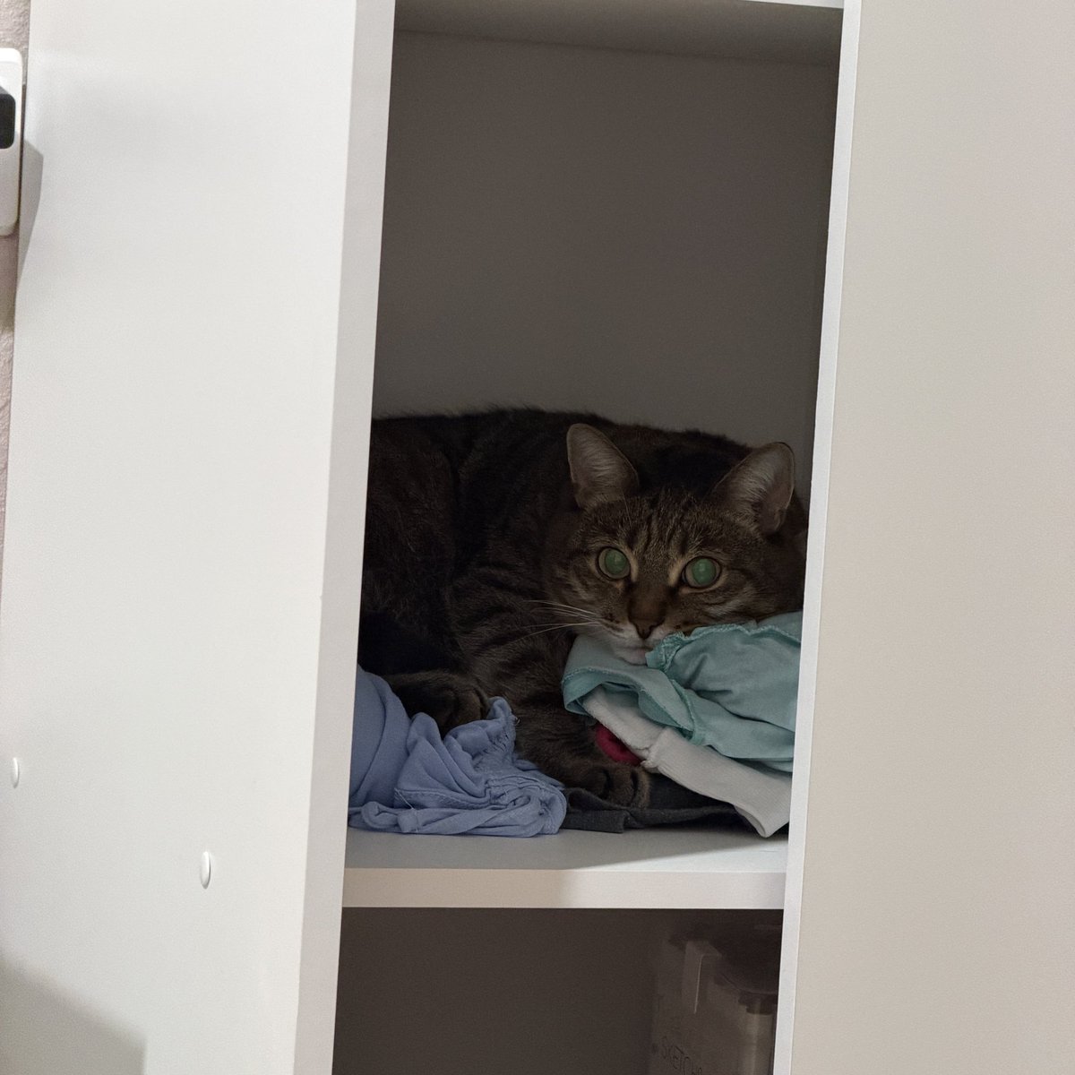 малышка на миллиард tweet media