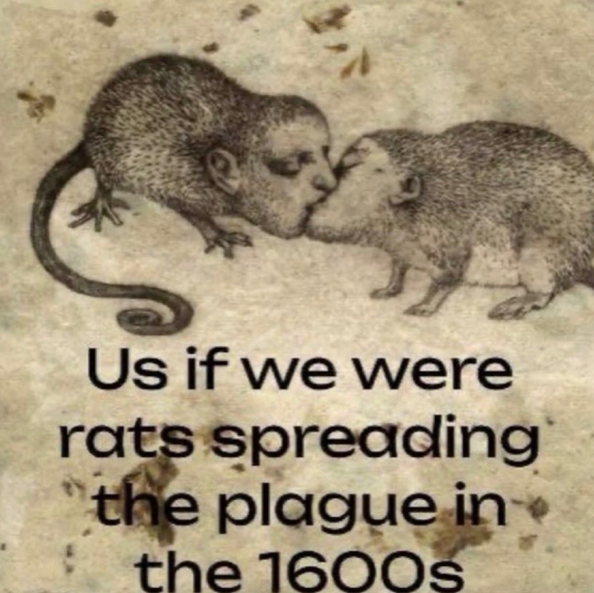 Respectful Memes tweet media