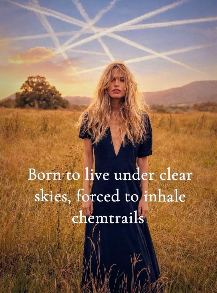 Vladimir Borisoff tweet media