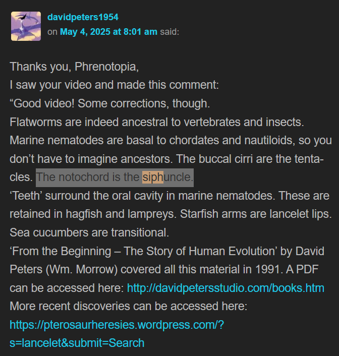 Morrigan Nolan tweet media