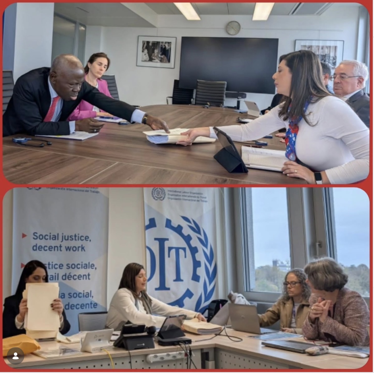 ClaridadPanamá 🐱🐱🐱🐱🐱🇵🇦🇵🇸 tweet media