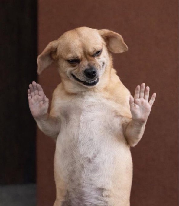 Ζάχος tweet media