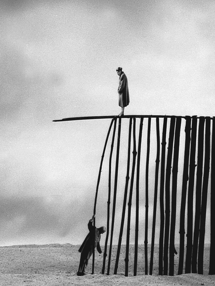 Francesco✍️ Briciole Di Pensieri©️ tweet media