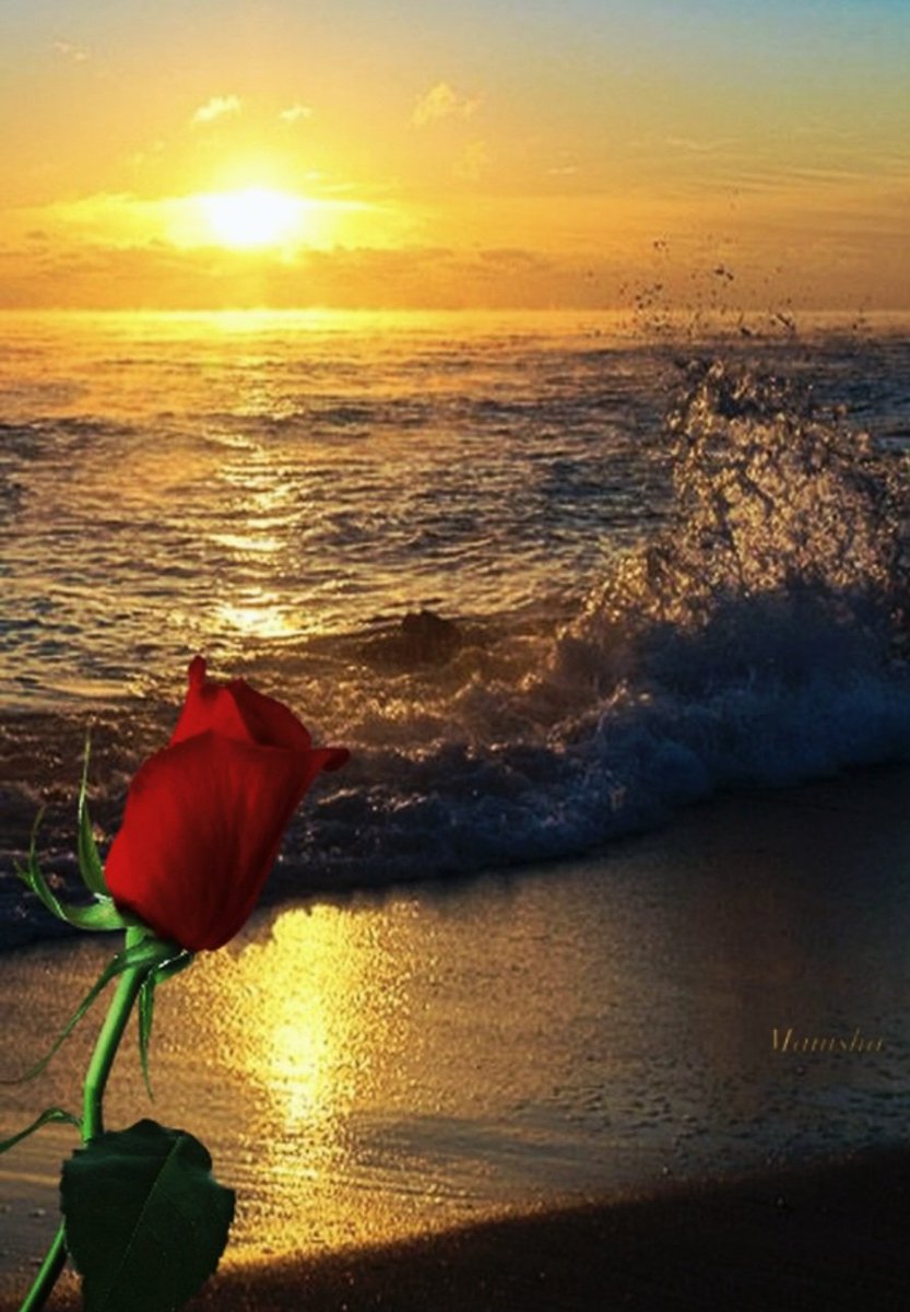 Eva Duna tweet media