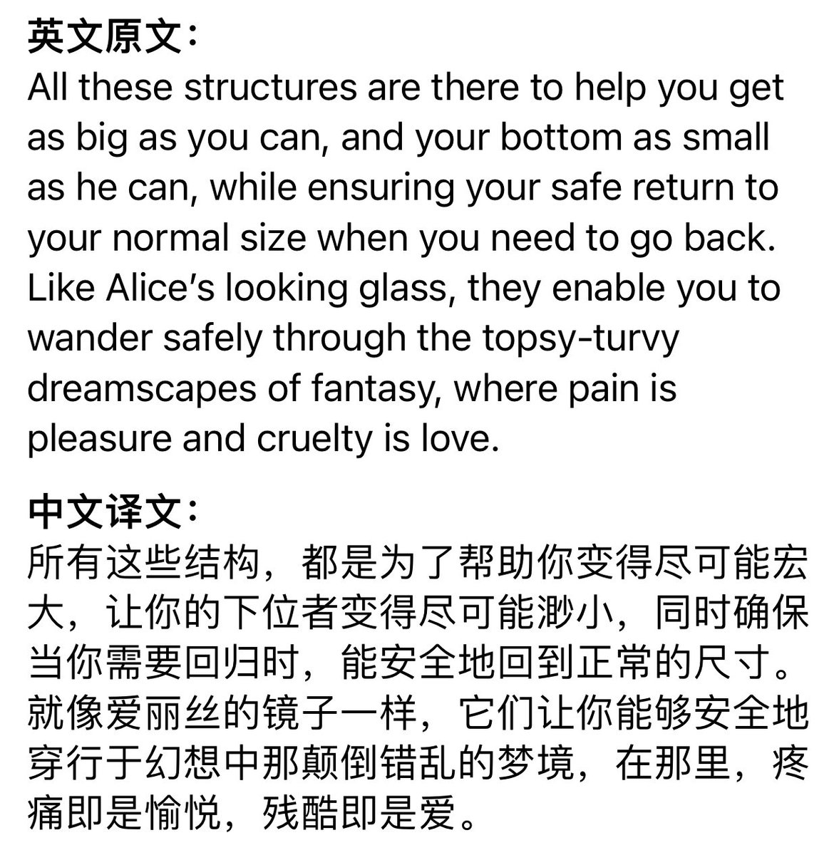 FlyingToTheMoon tweet media