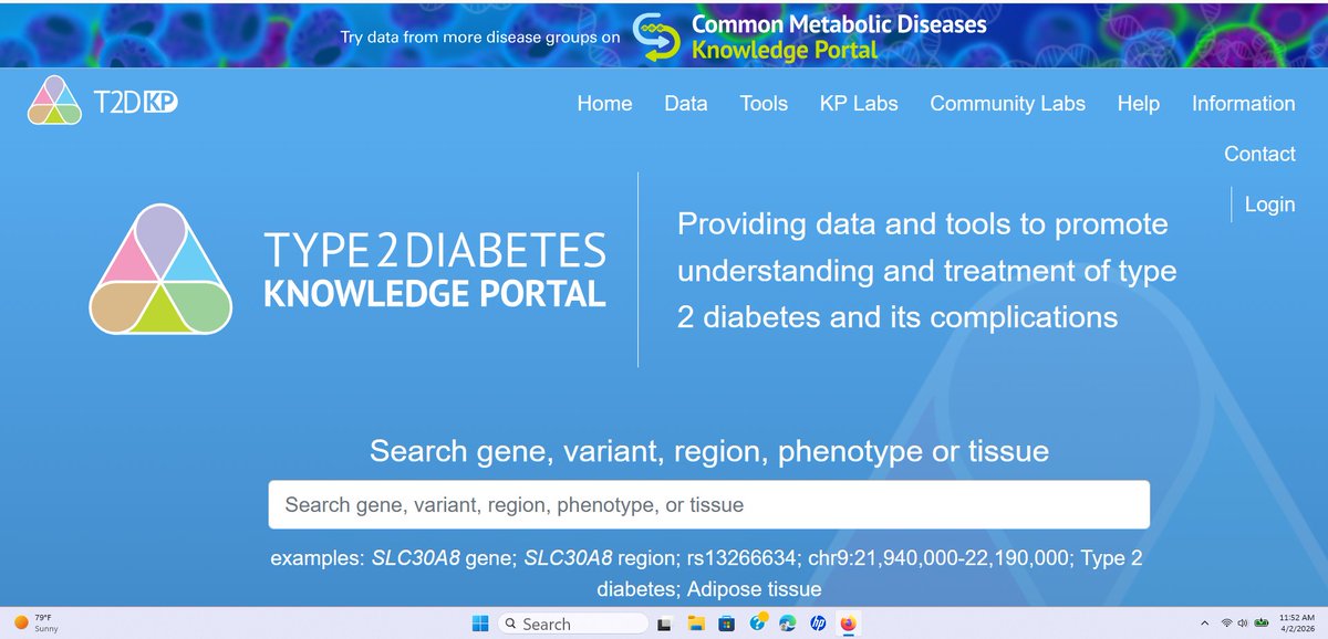 Eva D B Fain, BSN MPH RN CDE, CHES tweet media