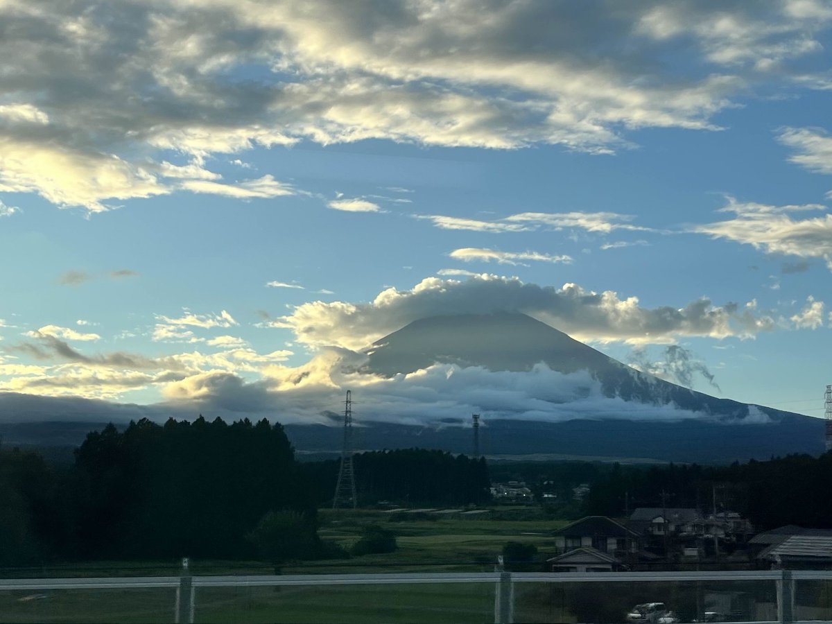 phantom__Q's tweet photo. @g3m33 Japan was genuinely beautiful. Extremely easy to use transit to navigate, my partner and I knew just enough basic japanese to get around + phone translator when needed. and one of the best meals ive ever had was in a random curry udon shop in osaka. 10/10 would go again https://t.co/RmbGy789PM