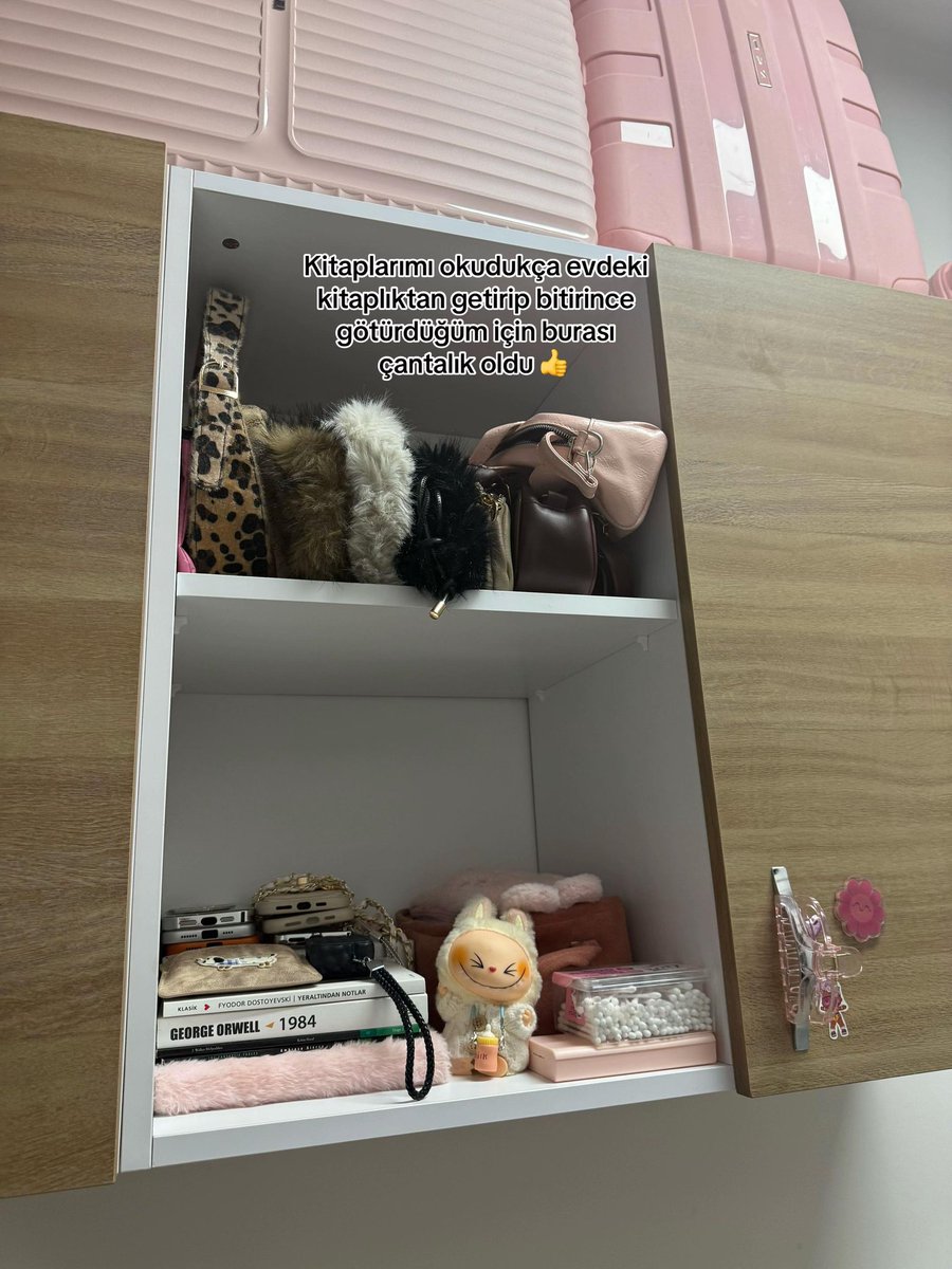 evaaa𓃠 tweet media