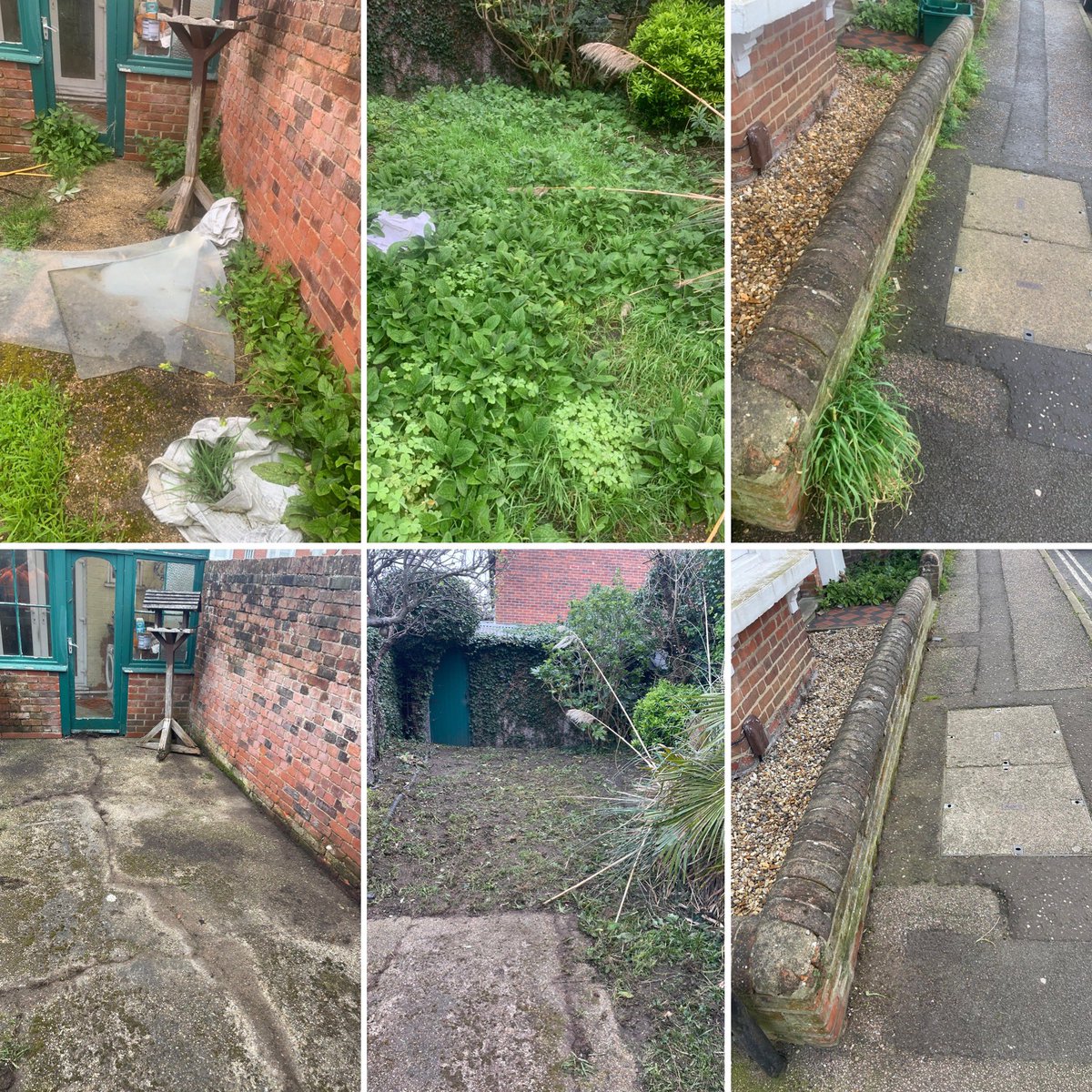 Masons Tree Surgery tweet media