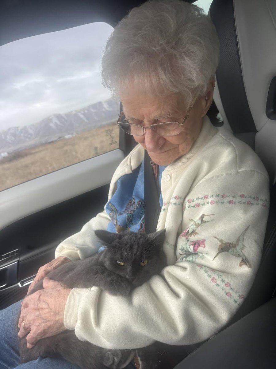 Sara Mary ⭐❤️ tweet media