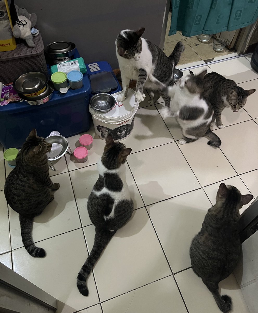 Sbubu N Gang tweet media