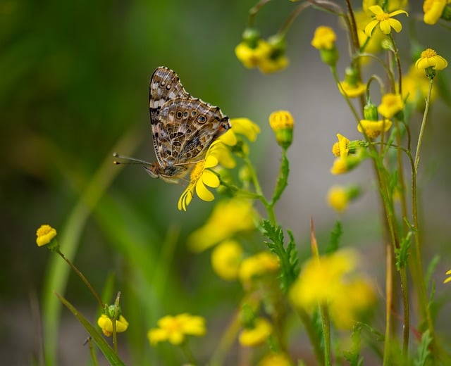 Kevin Hatton tweet media