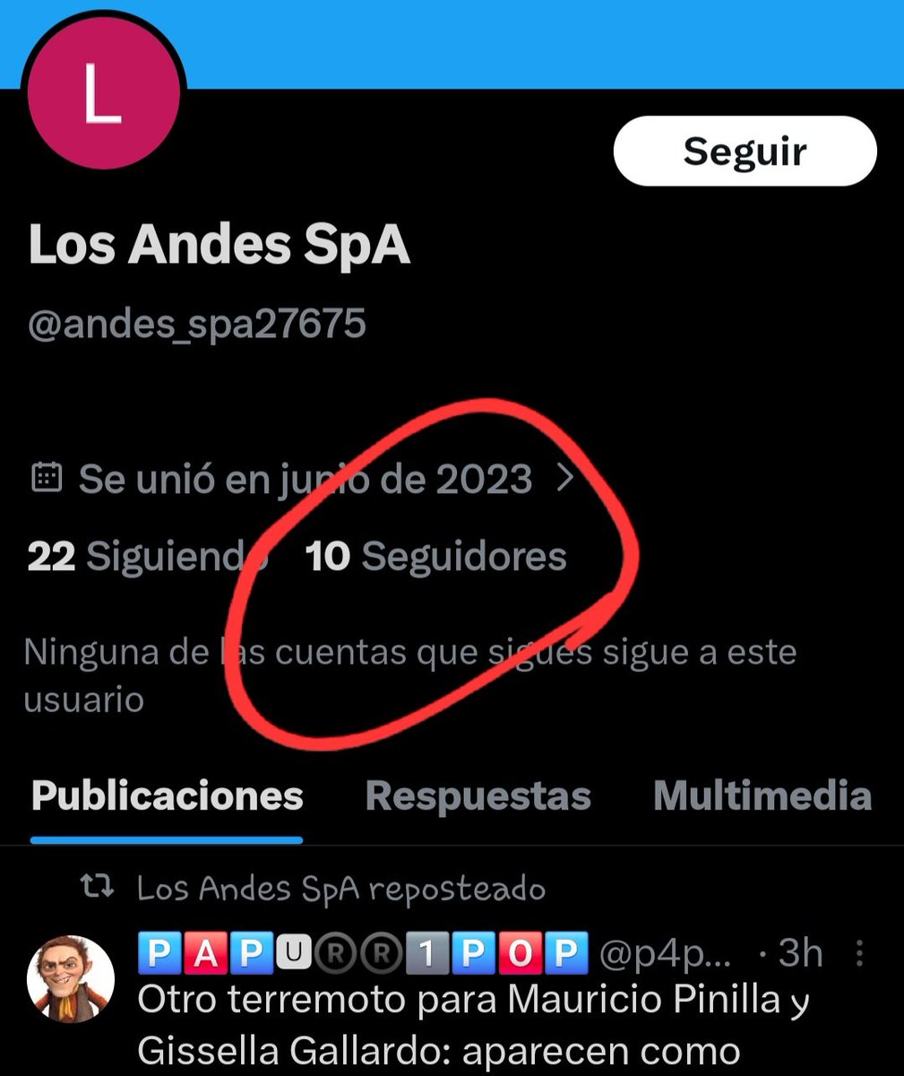 Amalia 🇨🇱🇨🇱 tweet media