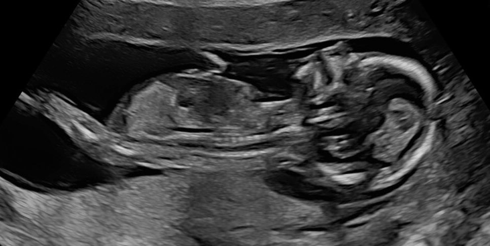 Inquiring Minds tweet media