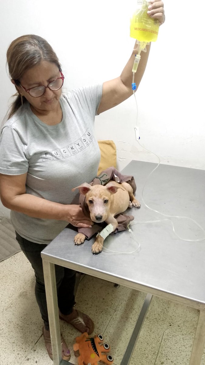 Bloque Defensores An tweet media